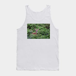 Fawn - White-tailed Deer Tank Top